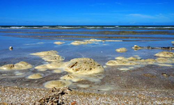 豆制品污水處理排放